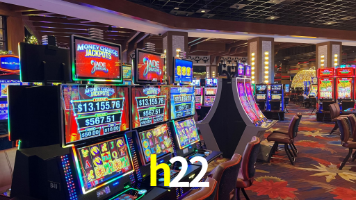 Interface Premium h22